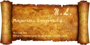 Mayerusz Levendula névjegykártya